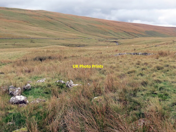 Photo 6"x4" Gweddillion lloc bach crwn \/ Remains of a small circular enclosure Moel Feity c2021
