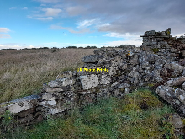 Photo 6"x4" Ruin at Shurrery Broubster c2021