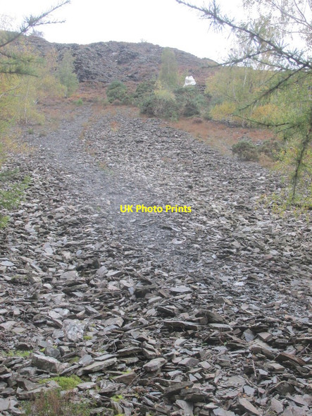 Photo 6"x4" Path up scree to The  Bishop Woodend\/NY2127 c2021
