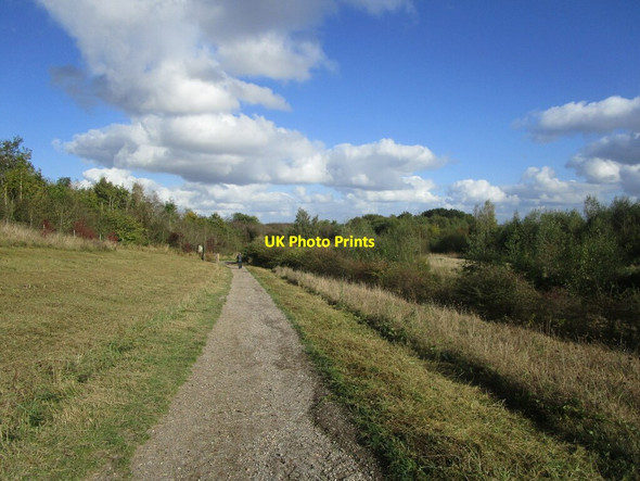 Photo 6"x4" Path in Pleasley Pit Country Park New Houghton\/SK4965 c2021