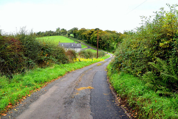 Photo 6"x4" Winding road at Baronagh Fintona c2021