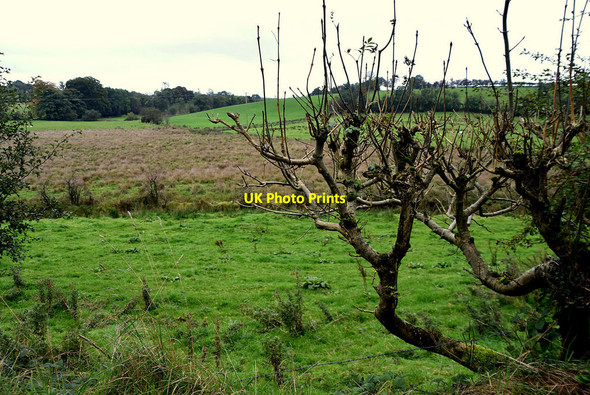 Photo 6"x4" Blacksessagh Townland Omagh c2021