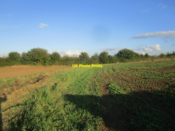 Photo 6"x4" Field edge off Water Lane Mansfield\/SK5361 c2021