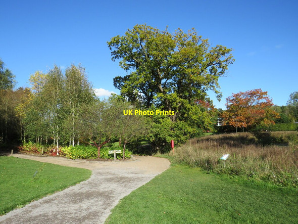 Photo 6"x4" RHS Harlow Carr Gardens, Harrogate Harrogate c2021
