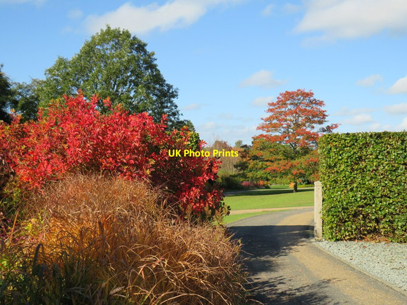 Photo 6"x4" Autumn colour at Harlow Carr Gardens, Harrogate Harrogate c2021