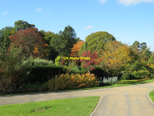 Photo 6"x4" Autumn colour at Harlow Carr Gardens, Harrogate Harrogate c2021