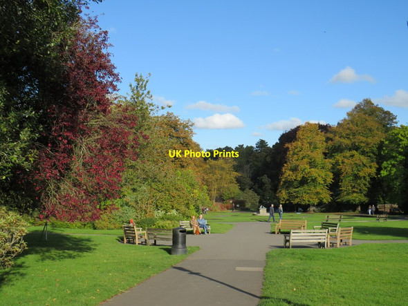 Photo 6"x4" Autumn colours in Valley Gardens, Harrogate Harrogate c2021