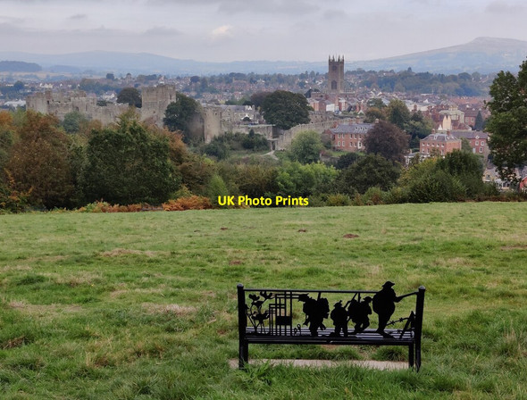 Photo 6"x4" Whitcliffe Common Nature Reserve Ludlow c2021