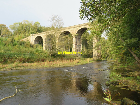 Photo 6"x4" Nidd Viaduct, near Harrogate Bilton\/SE3057 c2021