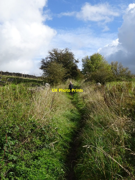 Photo 6"x4" The Limestone Way in Derbyshire Brassington c2021