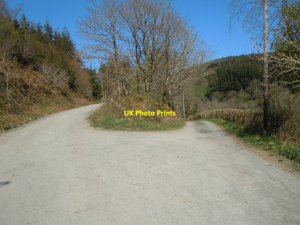 Photo 6"x4" Fork in track above Llanllawddog Church Pontarsais c2009