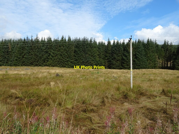 Photo 6"x4" Grassland towards woodland Elvanfoot c2021
