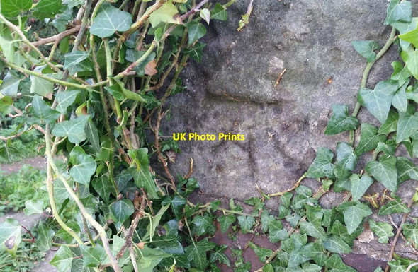 Photo 6"x4" Ordnance Survey Cut Mark Welshpool\/Y Trallwng c2021