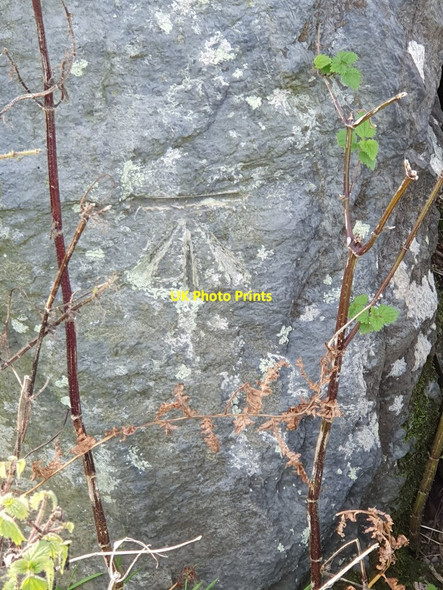 Photo 6"x4" Ordnance Survey Bench Mark Leeford\/SS7748 c2021