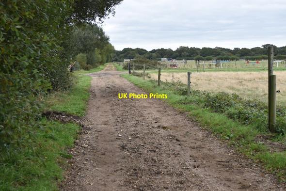 Photo 6"x4" Bridleway near Homeland Farm Woolsbridge c2021
