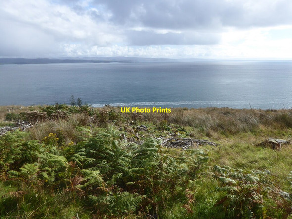 Photo 6"x4" Clearfell south of Lagg, Isle of Jura Lagg\/NR5978 c2021