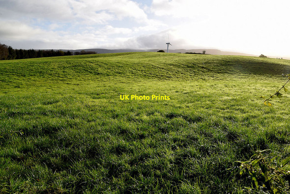 Photo 6"x4" Grassy fields, Dunbreen Mountjoy\/H4277 c2021