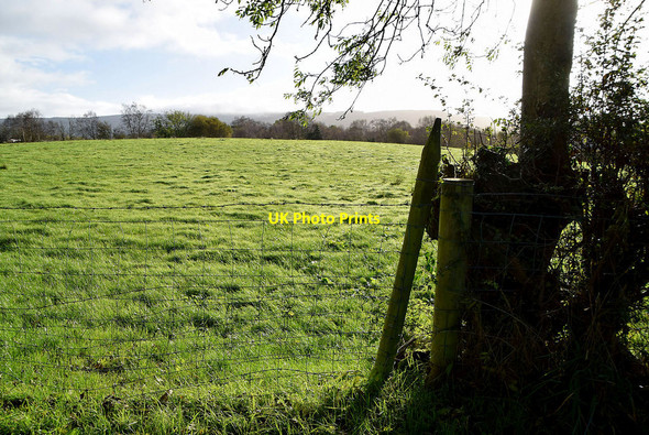 Photo 6"x4" Reaghan Townland Mountjoy\/H4277 c2021