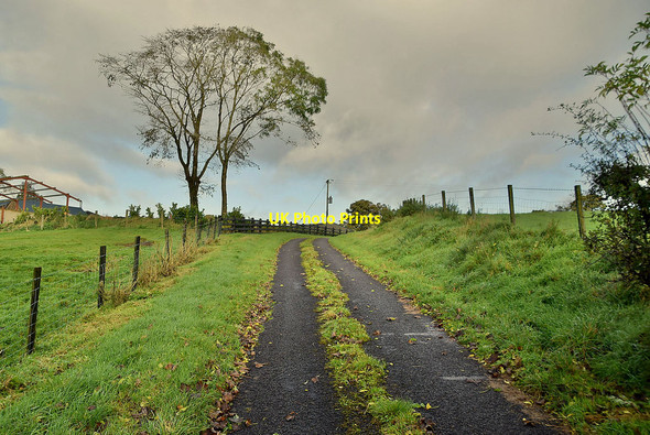 Photo 6"x4" Farburn Road, Eskeradooey Gortin c2021