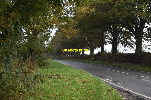 Photo 6"x4" A wet day on the A272 Lane End\/SU5525 c2021