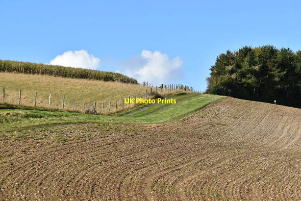 Photo 6"x4" Allan King Way ascending Longwood Warren Lane End\/SU5525 c2021