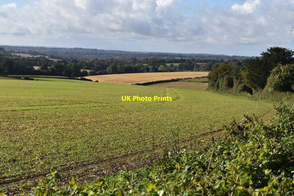 Photo 6"x4" Farmland south of Ox Drove Baybridge\/SU5223 c2021