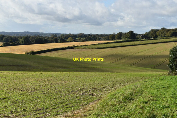 Photo 6"x4" Rolling farmland above Morestead Morestead c2021