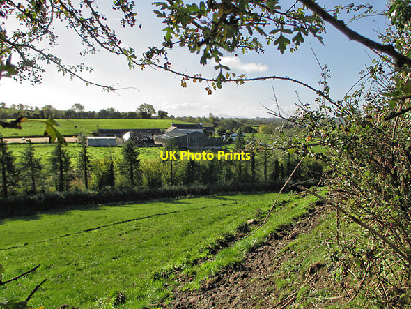 Photo 6"x4" Field and Farm Ballyfoyle c2021