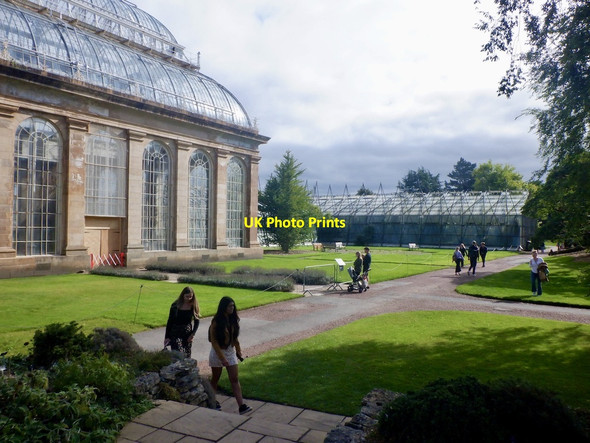 Photo 6"x4" Glasshouses, Royal Botanic Gardens Inverleith c2021