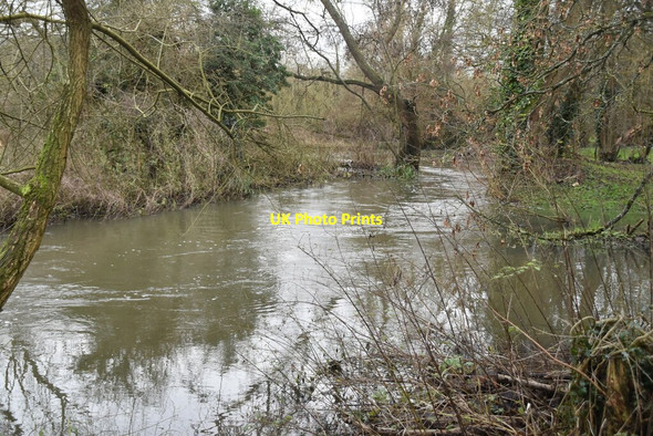 Photo 6"x4" River Darent Timberden Bottom c2020