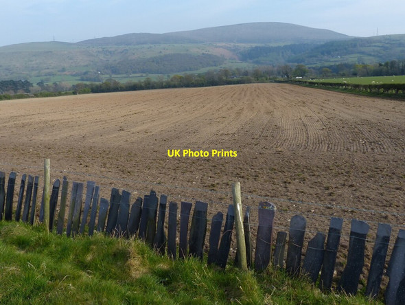 Photo 6"x4" Slate fence along the Wales Coast Path Abergwyngregyn c2019