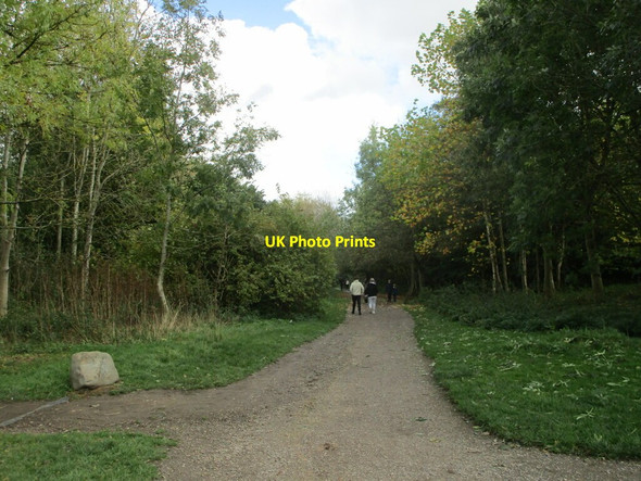 Photo 6"x4" Footpath, Brierley Forest Park Sutton In Ashfield c2021
