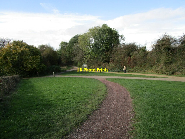 Photo 6"x4" Meeting of paths at the edge of Brierley Forest Park Sutton In Ashfield c2021