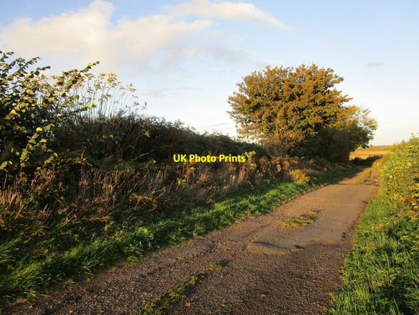 Photo 6"x4" Green Lane Moorhaigh c2021