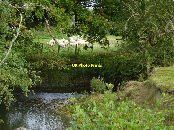 Photo 6"x4" Afon Cain, near Llansantffraid Llansantffraid-ym-Mechain c2021
