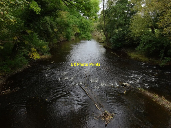 Photo 6"x4" River Vyrnwy below Godor Waen-f\u00e2ch c2021