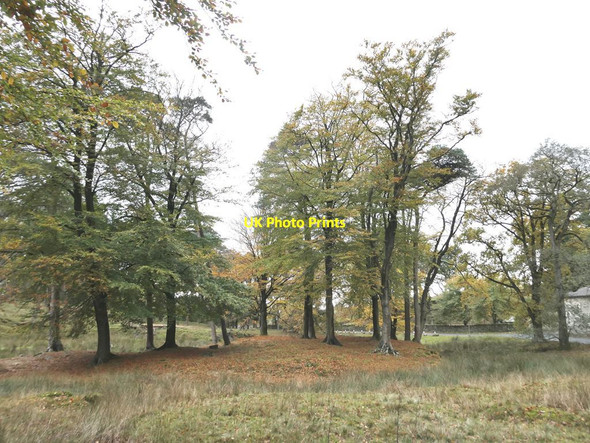 Photo 6"x4" Autumn colours Tarnbrook c2021