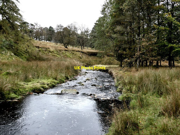 Photo 6"x4" River Marshaw Wyre Tarnbrook c2021