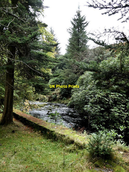 Photo 6"x4" Langden Brook Sykes\/SD6351 c2021