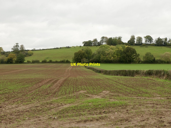 Photo 6"x4" Winter cereals and Caynham Camp Caynham\/SO5473 c2021