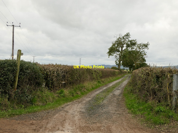 Photo 6"x4" Road to Pastycraft Greete c2021