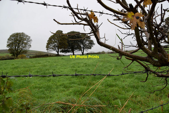 Photo 6"x4" Faccary Townland Mountfield\/H5378 c2021