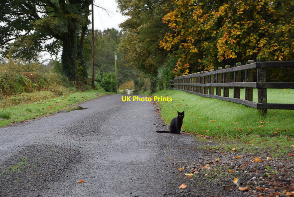 Photo 6"x4" Killens Road, Faccary Mountfield\/H5378 c2021