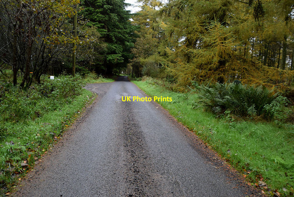 Photo 6"x4" Minor road, Killens Mountfield\/H5378 c2021