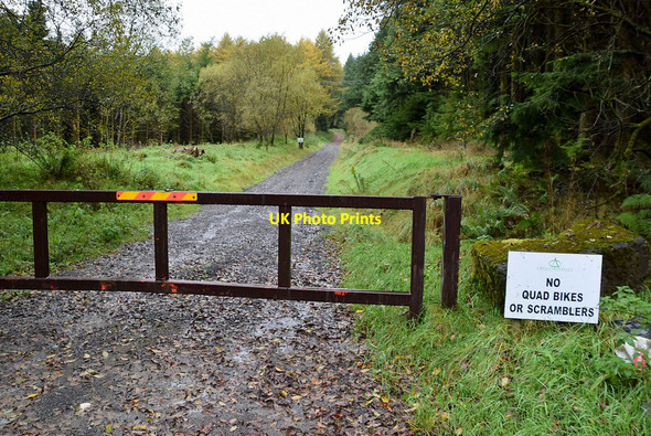 Photo 6"x4" Forest road, Killens Mountfield\/H5378 c2021