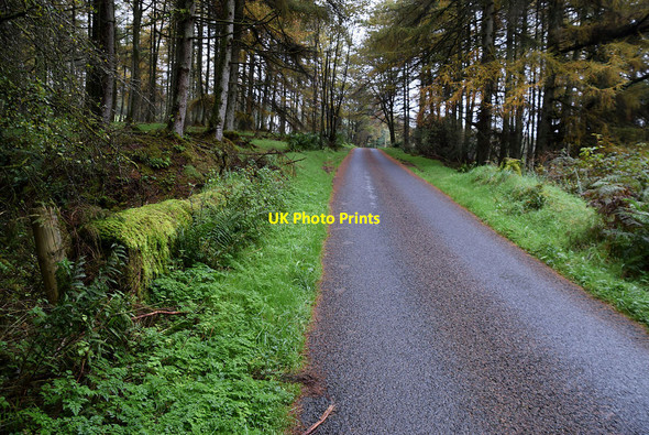 Photo 6"x4" Minor road, Killens Mountfield\/H5378 c2021