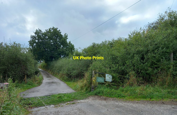 Photo 6"x4" North Hillswood Farm Meerbrook c2021 P1