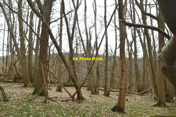Photo 6"x4" Pheasant Wood Chapel Cross\/TQ6120 c2021