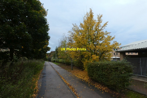 Photo 6"x4" Path in the Science Park Heslington c2021