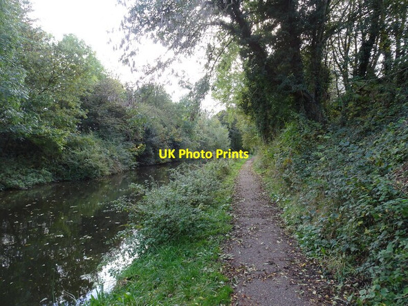Photo 6"x4" Canal Path Wolverhampton c2021